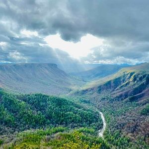 Meet your Posher, Jerry